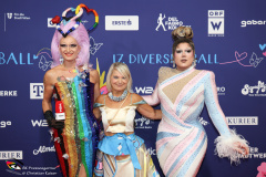 17.-Diversity-Ball-6.9.2025-Adobe-204