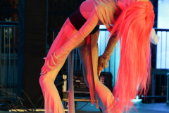 17.-Diversity-Ball-6.9.2025-Adobe-311