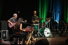 70-Jahre-Ulli-Baeer-mit-Andy-Baum-Wolfgang-Ambros-26.4.2025-Adobe-01