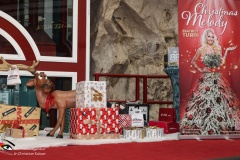 Christmas-Melody-14.12.2024-Lugner-City-Adobe-01