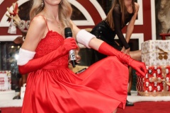 Christmas-Melody-14.12.2024-Lugner-City-Adobe-15