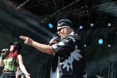 Donauinselfest-20.6.2025-Adobe-018