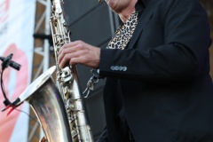 Donauinselfest-20.6.2025-Adobe-150