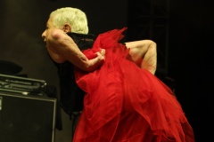 Donauinselfest-20.6.2025-Adobe-227