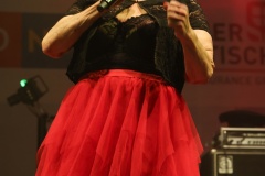 Donauinselfest-20.6.2025-Adobe-231