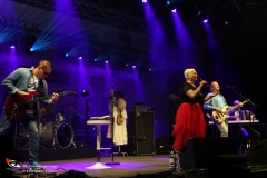 Donauinselfest-20.6.2025-Adobe-247