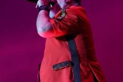 Donauinselfest-22.6.2025-Adobe-224