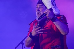 Donauinselfest-22.6.2025-Adobe-229