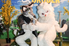 Premiere-von-DRUNTER-UND-DRUeBER-06.5.2025-84