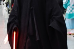 Vienna-Comic-Con-24.11.2024-Adobe-096