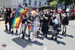 Vienna-Pride-Regenbogenparade-14.6.2025-Adobe-31