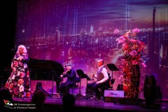 Wider-die-Gewalt-11.11.2024-Adobe-42