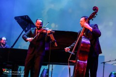 Wider-die-Gewalt-11.11.2024-Adobe-84