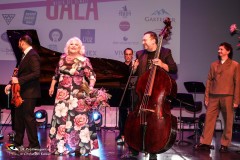 Wider-die-Gewalt-11.11.2024-Adobe-93